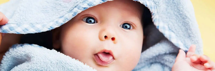 Baby Boy Gift Baskets, baby gifts, Yorkville's