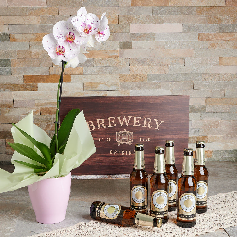 Blooming Orchid and Beer Basket – how the gift is presented