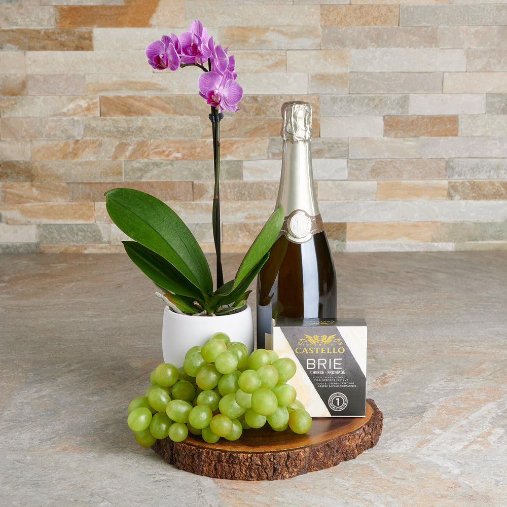Potted Orchid and Sparkling Wine – how the gift is presented