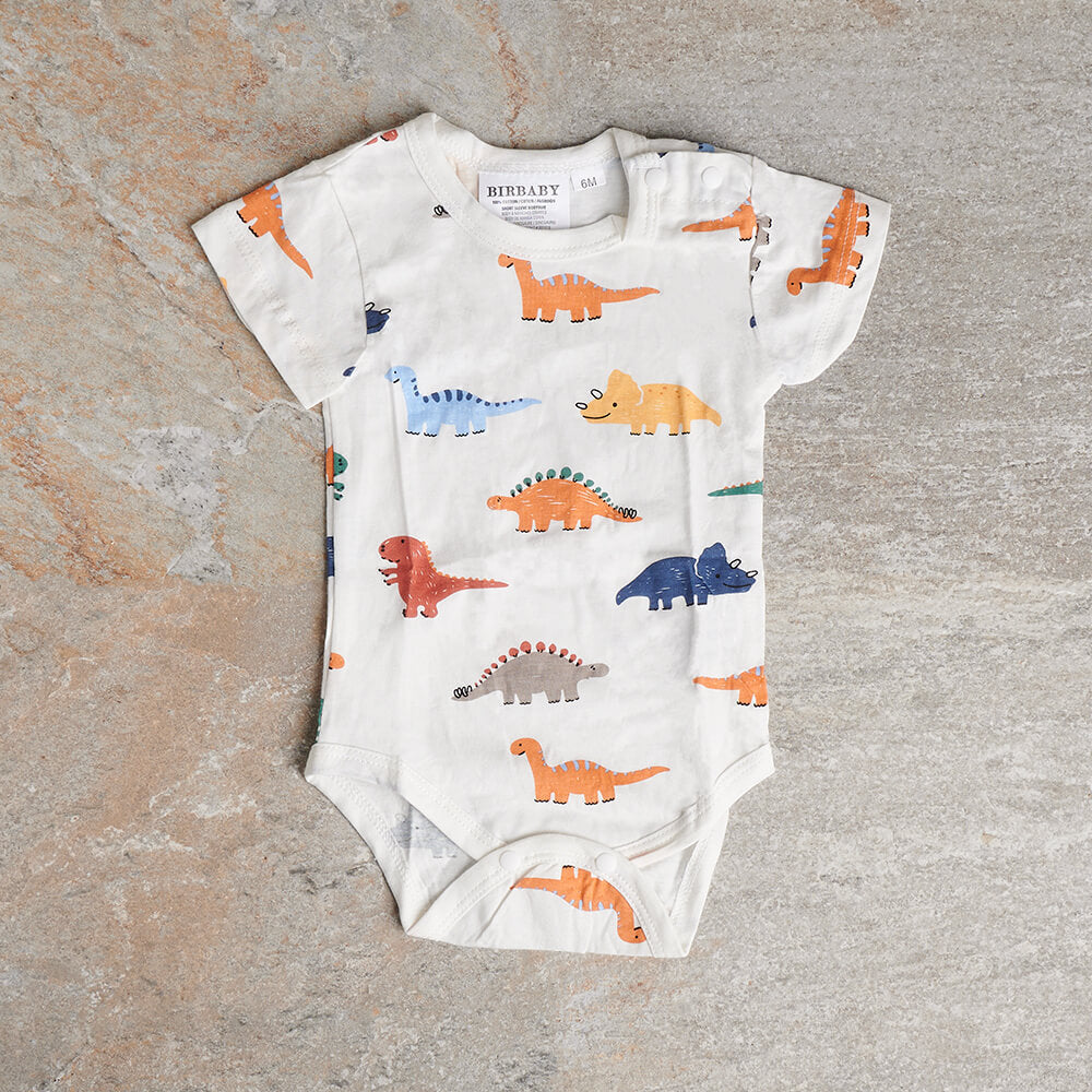 Baby Boy Welcome Crate – how the gift is presented