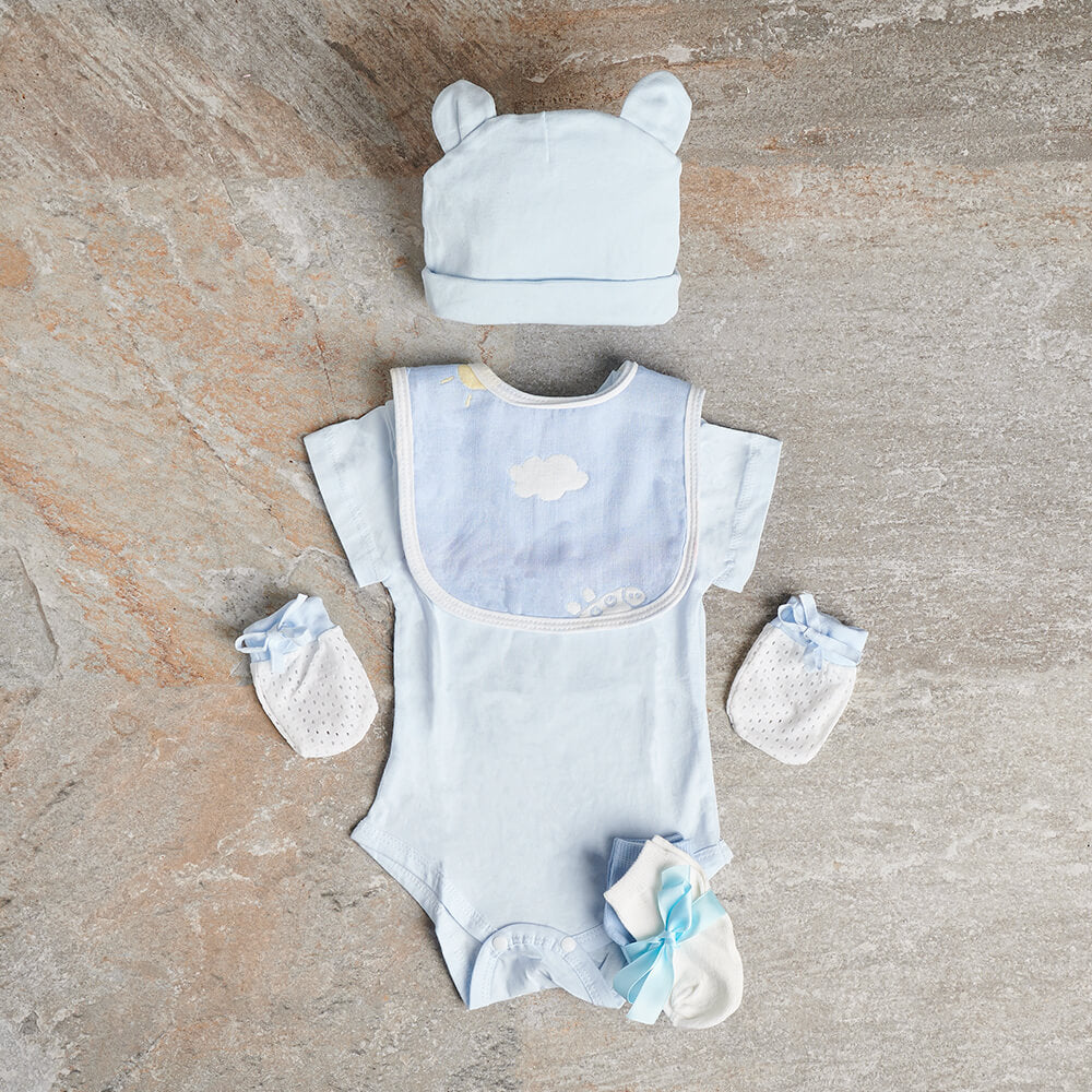 Infant Boy Baby Crate – how the gift is presented