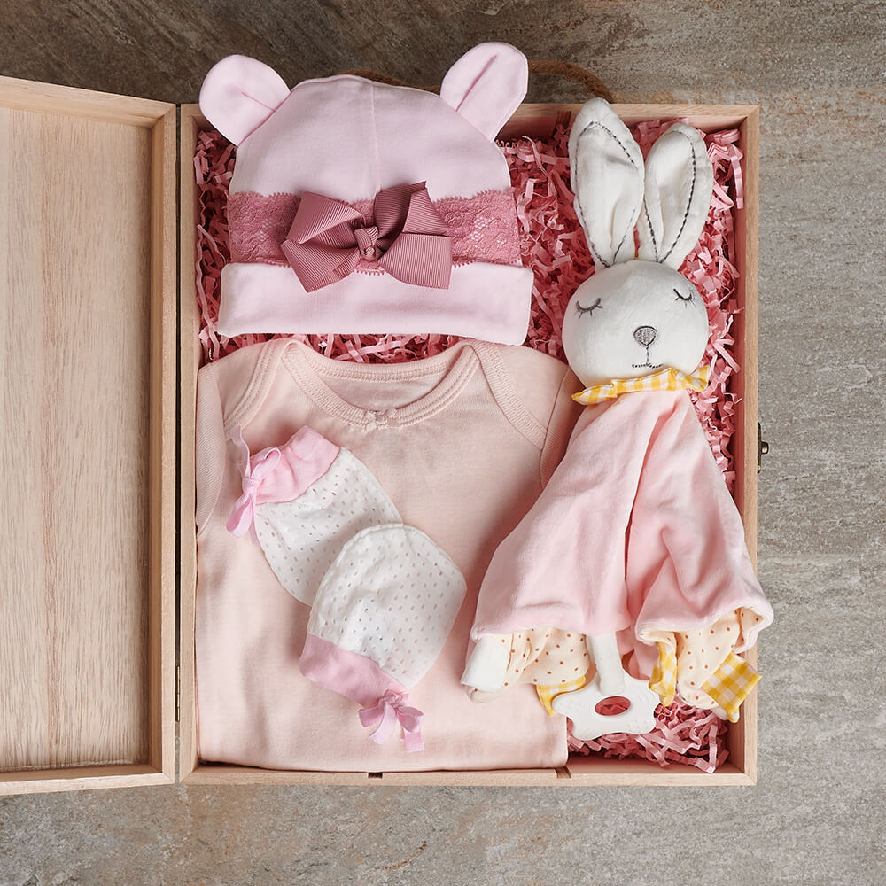 Baby Girl Crate, baby gift basket, baby gift, baby, baby girl gift, baby girl, baby shower gift, baby shower