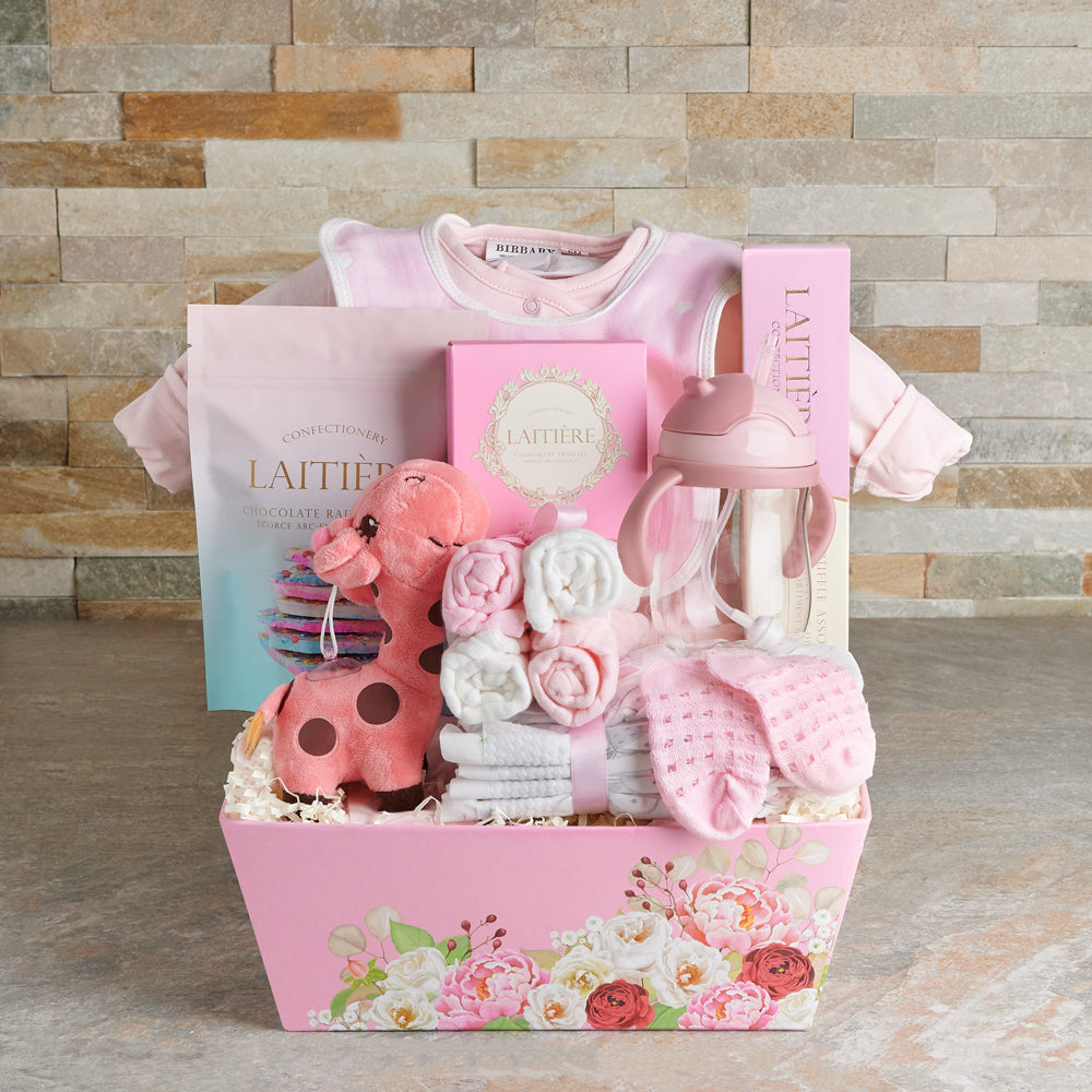 Baby Girl Newborn Basket with Plush – how the gift is presented