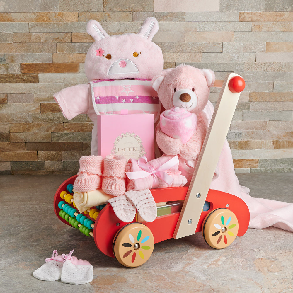 ABC Walker Baby Girl Gift Set, baby gift, baby, baby girl gift, baby girl, baby shower gift, baby shower