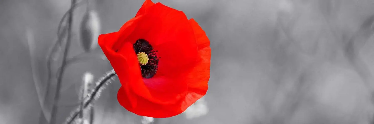 '' Remembrance Day Gift Baskets ''