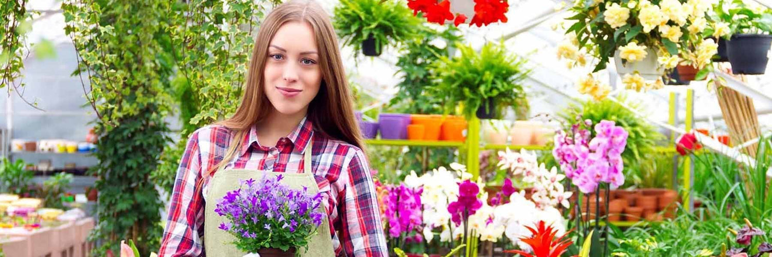 Potted Plant Gifts